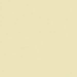 SANDERSON PAINT BEIGE SHADOW  24